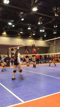 Phone_20150913 537.jpg