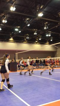 Phone_20150913 545.jpg