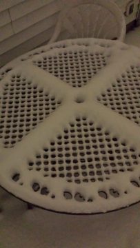 Phone_20150913 560.jpg