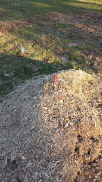 Phone_20150913 582.jpg