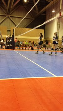 Phone_20150913 595.jpg