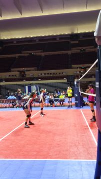 Phone_20150913 598.jpg