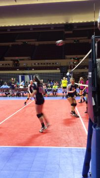 Phone_20150913 601.jpg