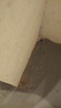 Phone_20150913 615.jpg