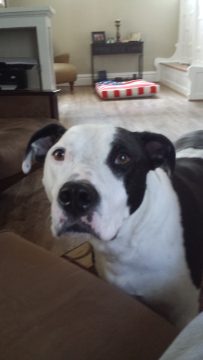 Phone_20150913 755.jpg