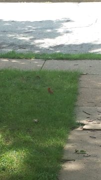 Phone_20150913 768.jpg