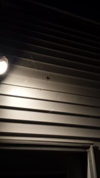 Phone_20150913 829.jpg