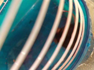 IMG_20190915_162059330 (1).jpg