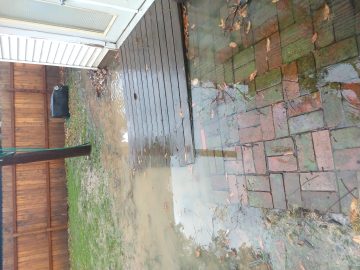 IMG_20200110_090944821 (1).jpg