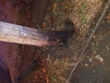 IMG_20200115_040106133 (1).jpg