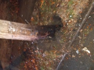 IMG_20200115_040108807 (1).jpg