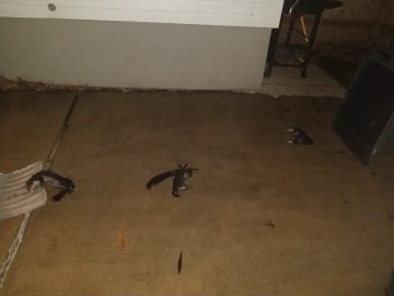 IMG_20200303_195938236 (1).jpg