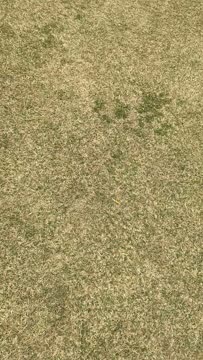 VID_20180421_125222320.mp4