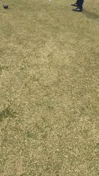 VID_20180421_125326751.mp4