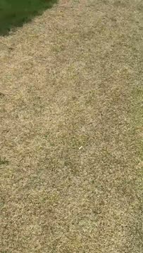 VID_20180421_125347016.mp4