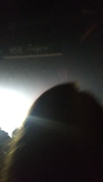 VID_20181129_220237202.mp4