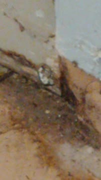 VID_20190718_215404938.mp4