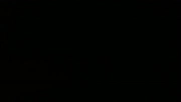 VID_20190730_195004967.mp4