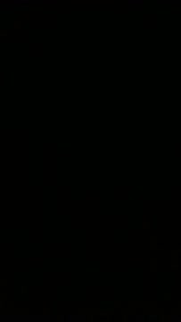 VID_20190730_195117381 (1).mp4