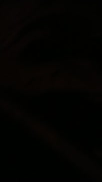 VID_20190730_201526093.mp4