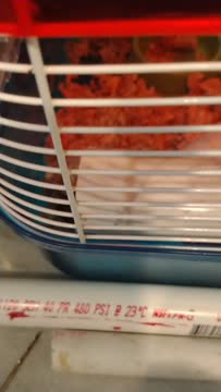 VID_20190831_232150208.mp4