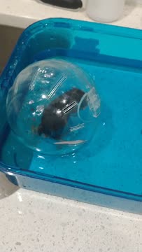 VID_20191120_221433740.mp4