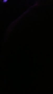 VID_20191212_212435286.mp4