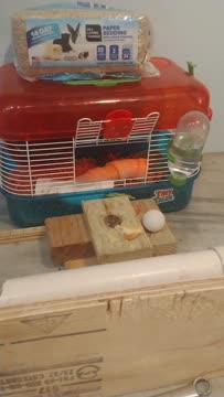 VID_20200420_203048147.mp4