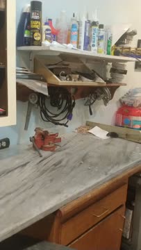 VID_20200423_202912383.mp4