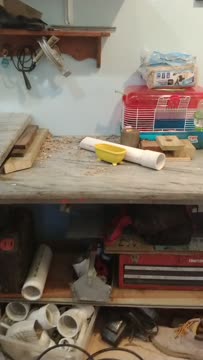 VID_20200426_195345393.mp4