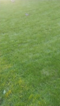 VID_20200529_193636687.mp4