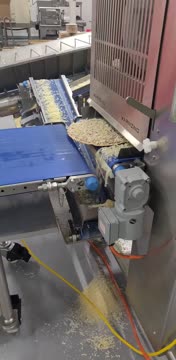 Snapchat-1743021331.webm