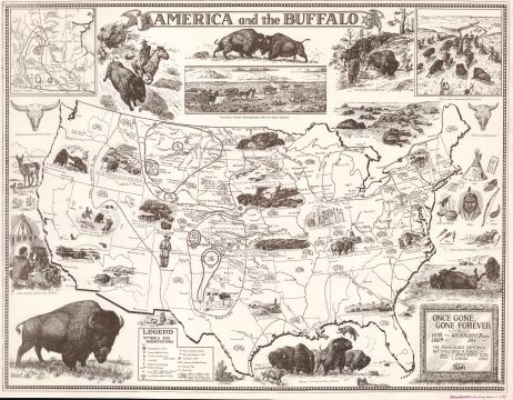 1953 Bevans Pictorial Map of the United States w/ American Bison