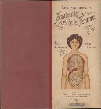 1900 Vigot Anatomical Model of a Woman