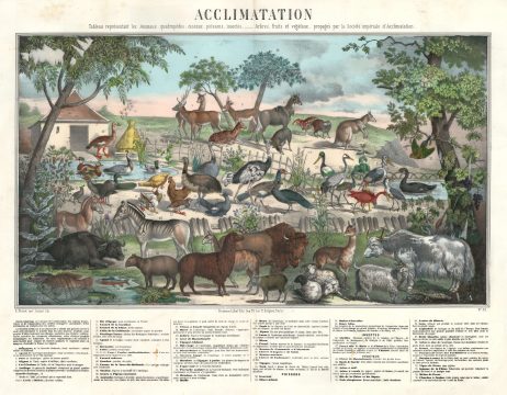 1854 Perrot and Oudart Chart or Map of Animals, Birds, Fish, and Trees