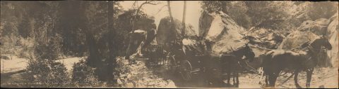1907 Arthur C. Pillsbury Photograph of Arch Rock, Yosemite Stage Road