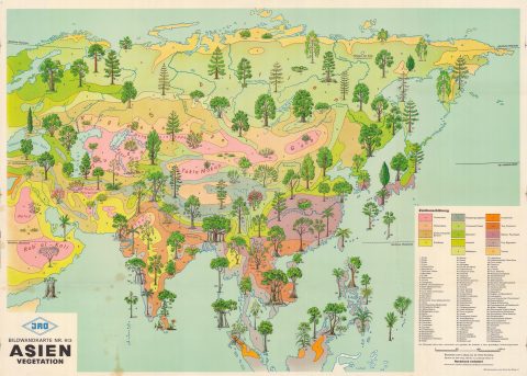 1959 JRO Pictorial Map of Asia and its Vegetation