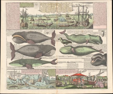 1760 Homann Heirs Illustration of Whaling around Spitzbergen