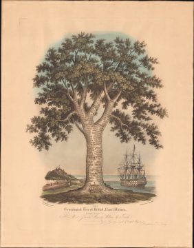 1841 King / Egan 'Genealogical Tree' of British Naval Victories