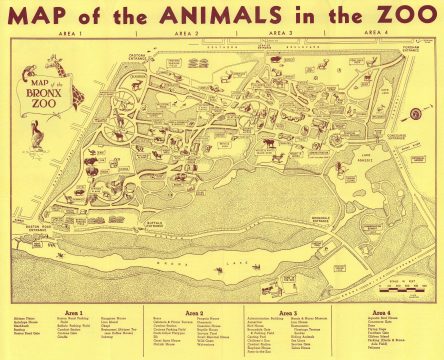 1955 Sandford Pictorial Map of the Bronx Zoo, New York City