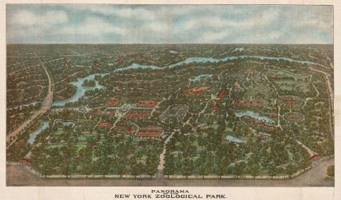 1913 Adickes View Map of the Bronx Zoo, New York City