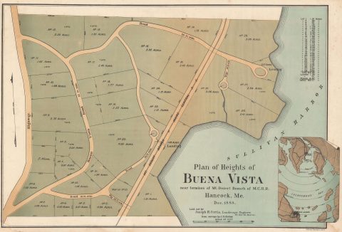 1888 Curtis Real Estate Map of Buena Vista, Hancock County, Maine