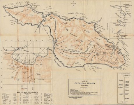 1913 Wilson Folding Map of Avalon and Catalina Island, California