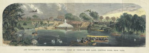 1869 Appleton View of the Terrace and Lake in Central Park, New York City