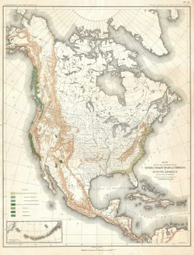 1884 Sargent Forestry Map of North America Depicting Cypress Trees