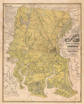 1875 Platen Wall Map of Chatham County (Savannah), Georgia