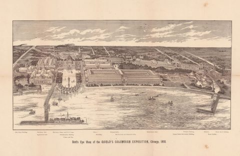 1893 Teese Bird's Eye View of the Chicago Expo 'Dream City'