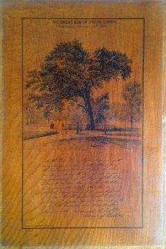 1876 Prang Veneer View of the Great Elm on Boston Common, printed on wood from the Great Elm
