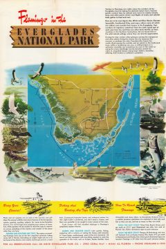 1960 National Park Service Pictorial Map of Everglades National Park, Florida