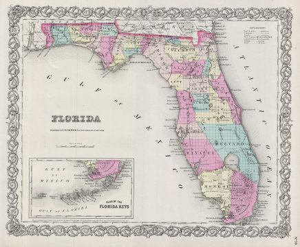 1856 Colton Map of Florida